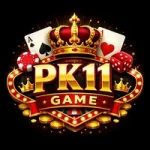 PK11 Game